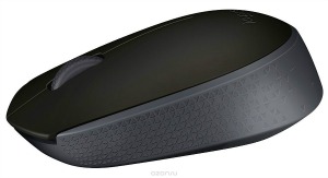 logitech m171